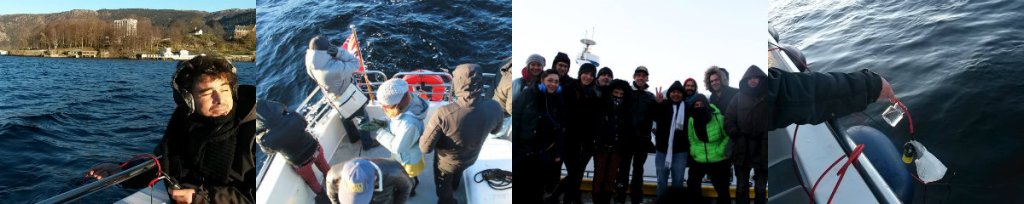 Fjords_boat_trip_deep_diving