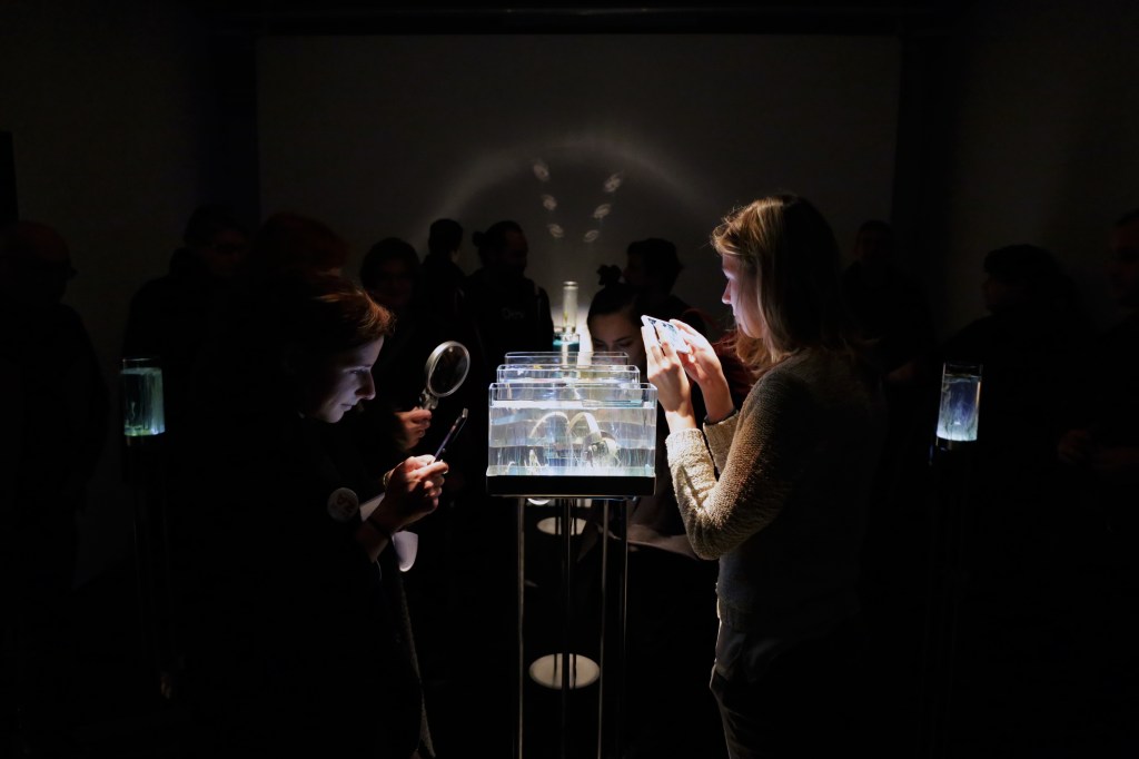 Time Displacement by Robertina Sebjanic and Aleš Hieng photo by Katra Petriček