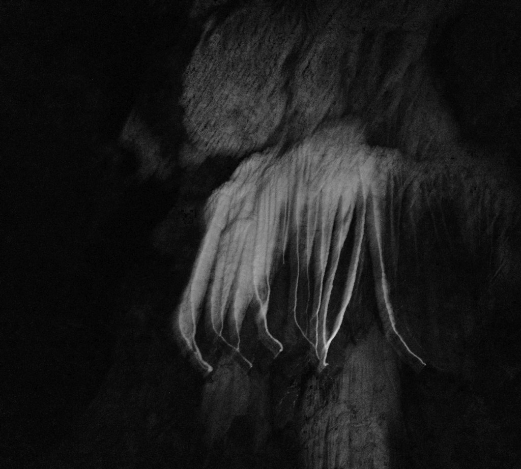 senescence_liquid-time-capsule