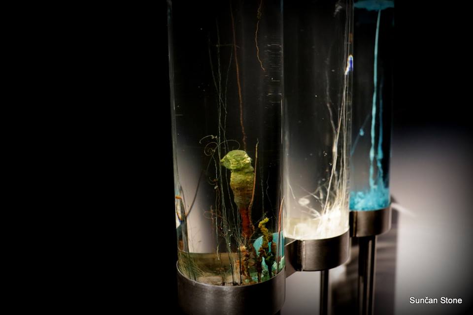 Time Displacement : Chemobrionic Garden by Robertina Šebjanič, Aleš Hieng – Zergon photo by Sunčan Stone 030