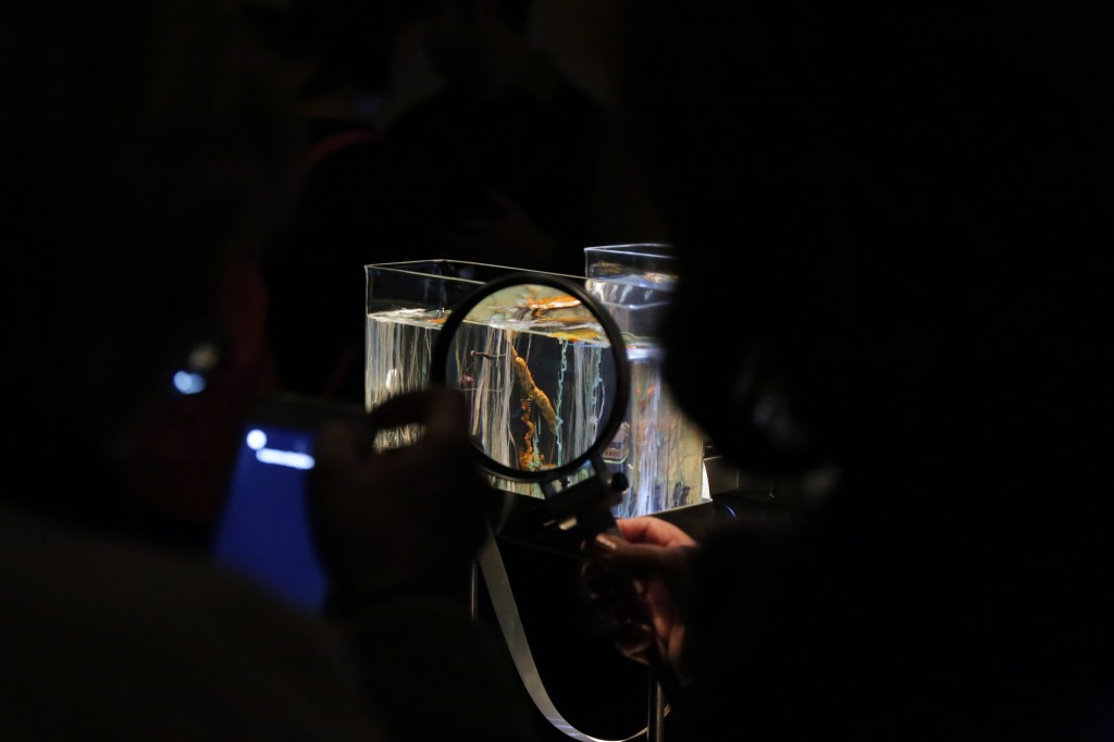 Time Displacement by Robertina Sebjanic and Aleš Hieng photo by Katra Petriček 02