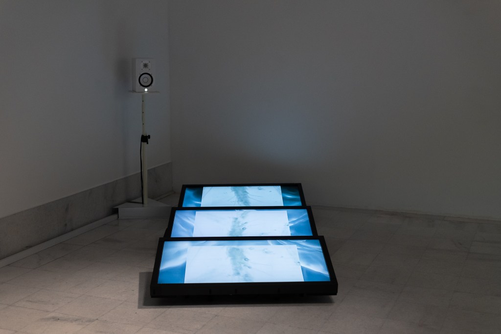 Photos from solo exhibition LIne +1233m -1233m , Kresija Gallery Ljubljana, Aprile - May 2023