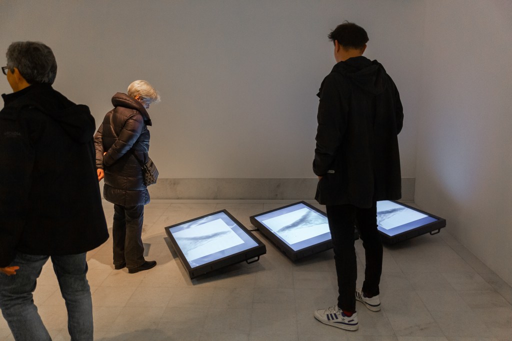 Photos from solo exhibition LIne +1233m -1233m , Kresija Gallery Ljubljana, Aprile - May 2023