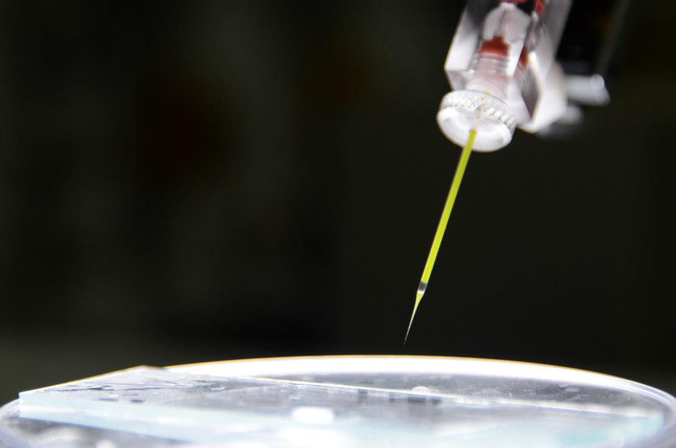 Humalga chloroplast to zebrafish microinjection at NCBS Bangalore at HackteriaLab 2013