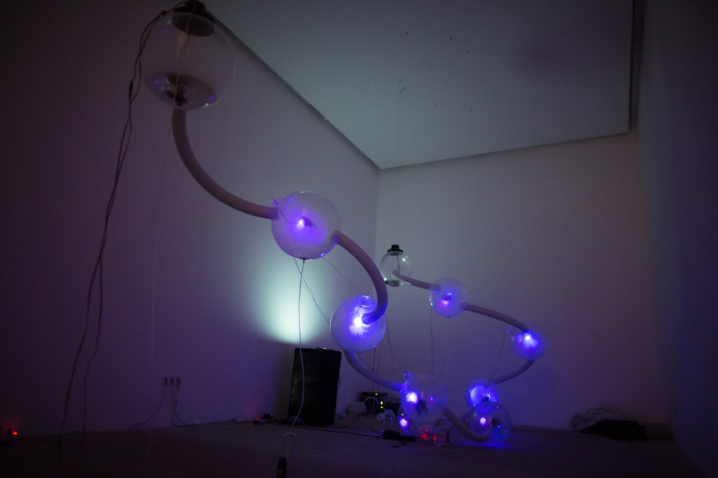 Oscillatorium - Living systems oscillation_01 photo by Bostjan Lah / Kibla archive