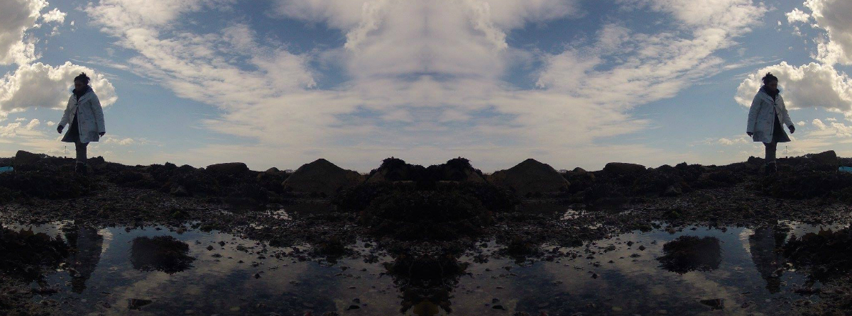 collage-sea-bed-Roscoff_robertina_sebjanic