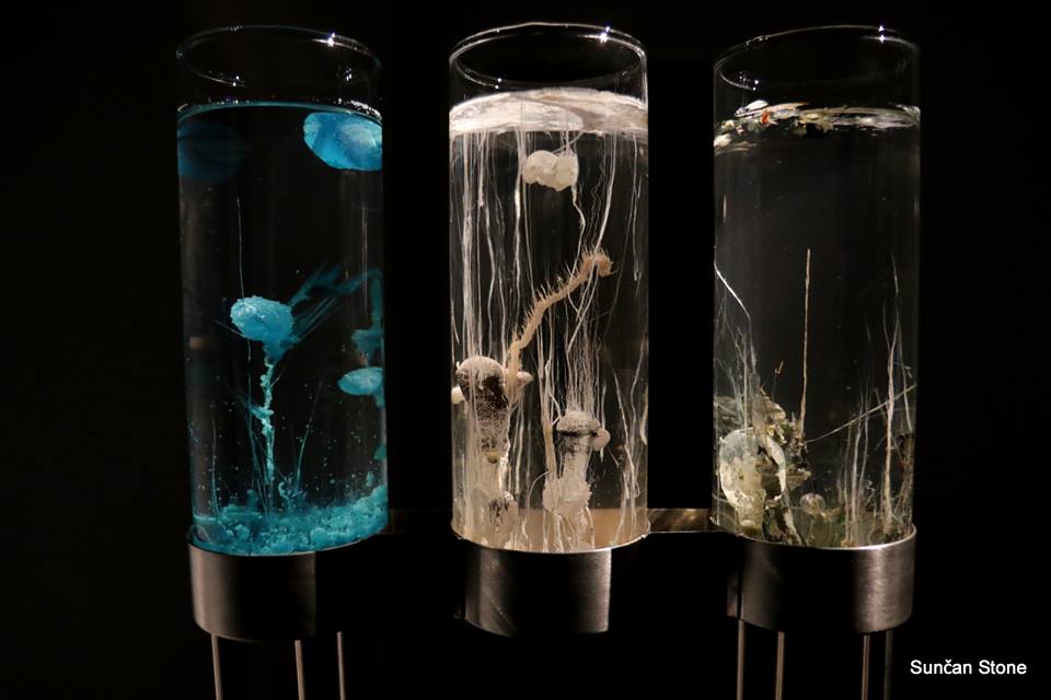 Time Displacement : Chemobrionic Garden by Robertina Šebjanič, Aleš Hieng – Zergon photo by Sunčan Stone 026